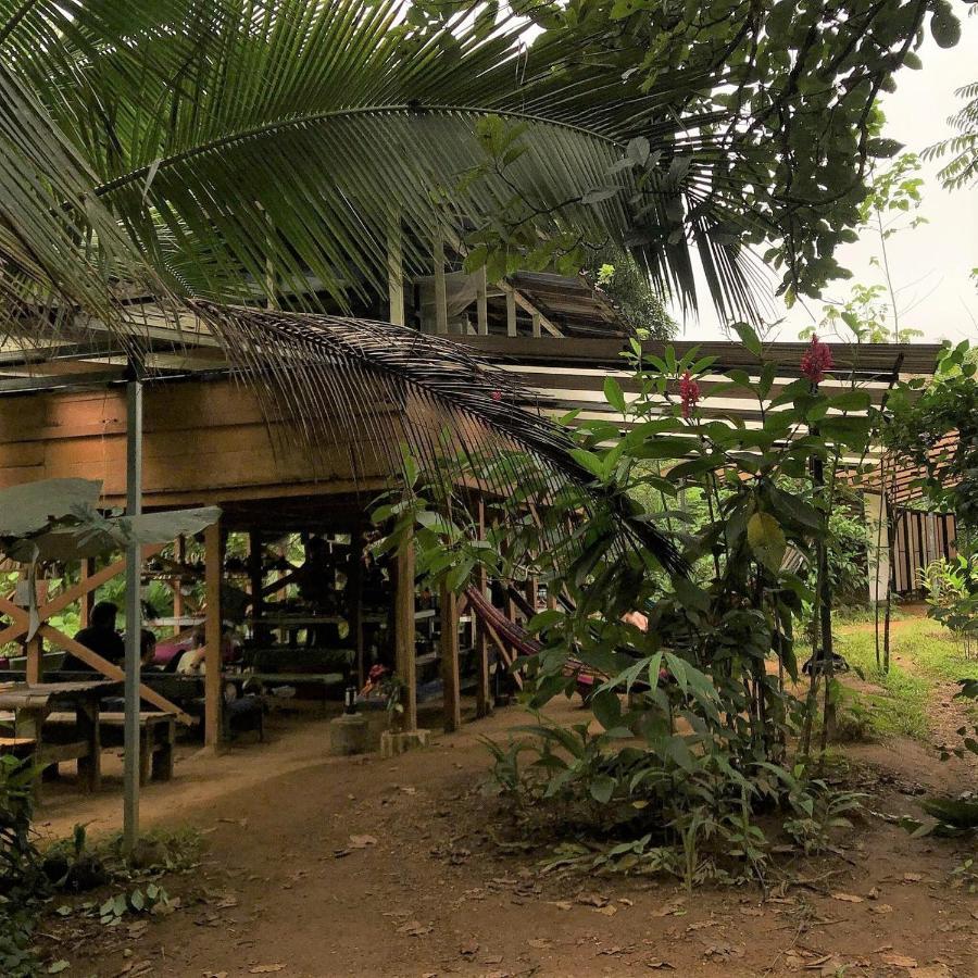 Bolita Trails And Lodging Dos Brazos Eksteriør billede