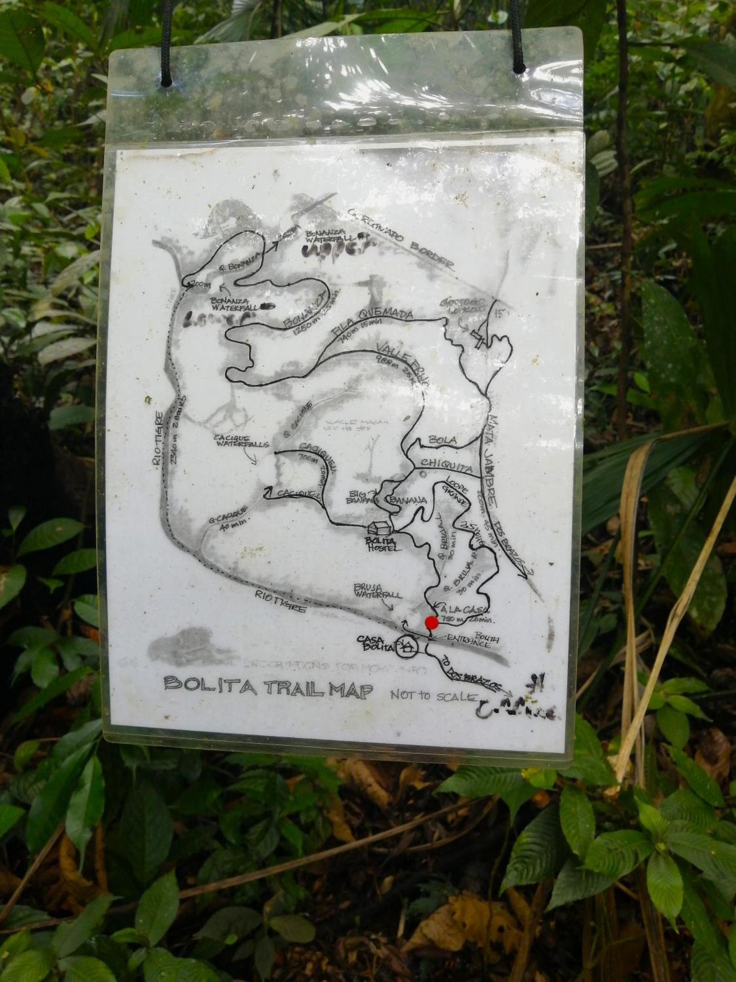 Bolita Trails And Lodging Dos Brazos Eksteriør billede