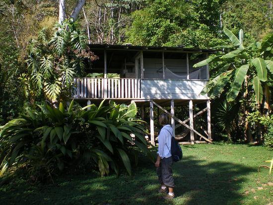 Bolita Trails And Lodging Dos Brazos Eksteriør billede